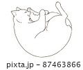 しっぽを抱いて寝る猫(ぬりえ) 87463866