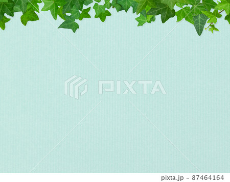 さわやかな水色の背景とアイビー 87464164