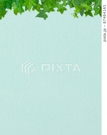 さわやかな水色の背景とアイビー 87464165