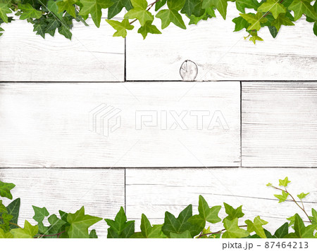 白い木目とアイビーのナチュラルな背景 87464213