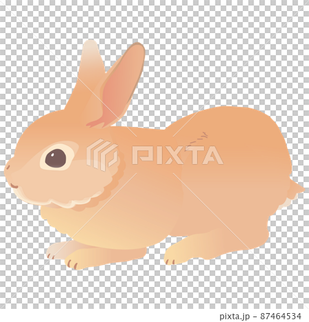 ミニレッキス かわいいうさぎ ベクターイラスト	 87464534