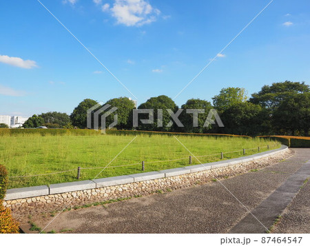 緑が広がる公園の道 87464547