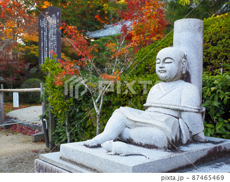紅葉の寺 岡山県宝福寺 紅葉の寺 岡山県宝福寺 87465469