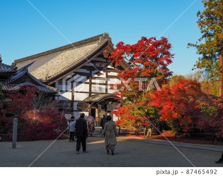 紅葉の寺 岡山県宝福寺 紅葉の寺 岡山県宝福寺 87465492