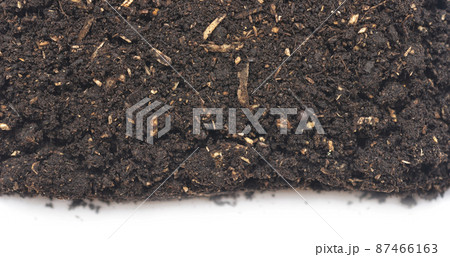 soil soil 87466163