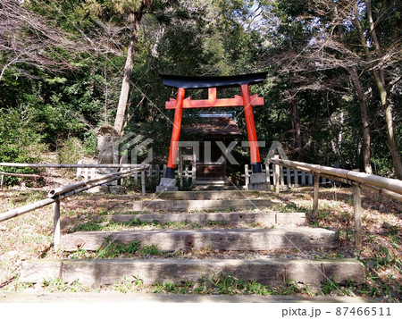 京都　大山崎　天王山　宝積寺　弁才天堂（冬） 87466511