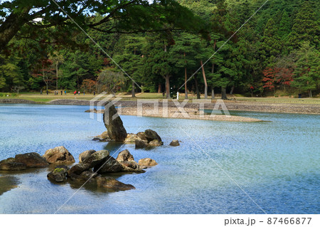 平泉の毛越寺の浄土庭園の池中立石 平泉の毛越寺の浄土庭園の池中立石 87466877