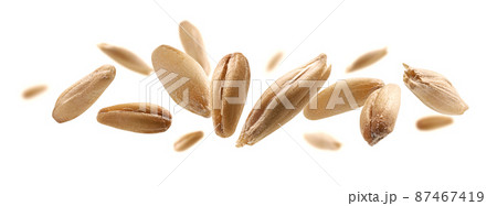Oat grains levitate on a white background Oat grains levitate on a white background 87467419