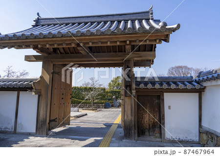 [大阪府]晴天の池田城址公園 87467964