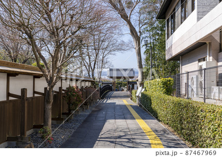 [大阪府]晴天の池田城址公園 87467969