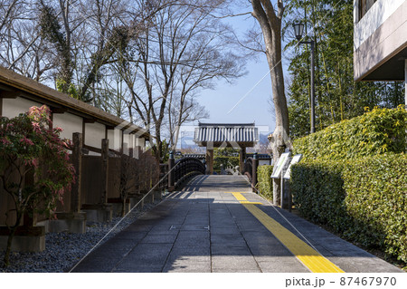 [大阪府]晴天の池田城址公園 87467970