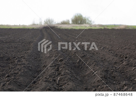 Spring arable land on a farm with black soil 87468648