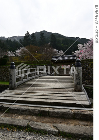 出石城の桜 出石城の桜 87469678