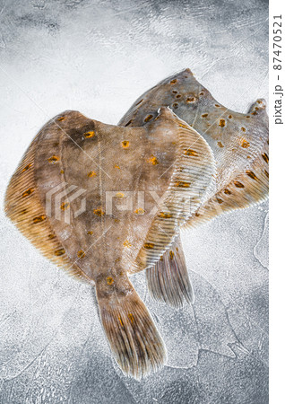 Raw whole flounder flatfish fish on kitchen table. White background. Top view 87470521