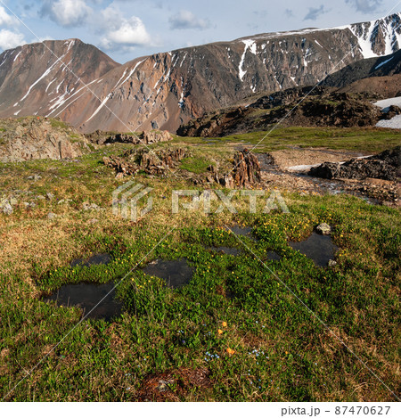 Wet mountain meadow. Puddles on a stony meadow. Square view. 87470627