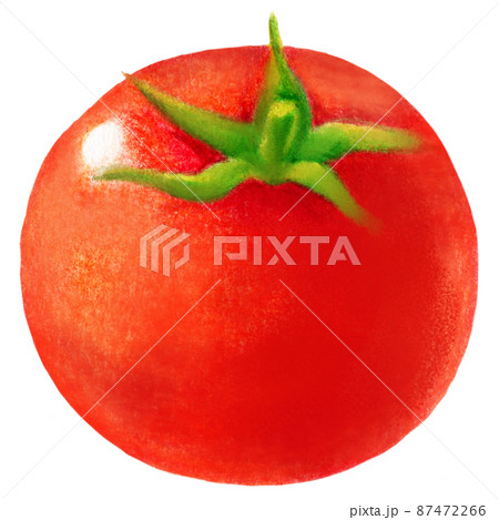 Tomato Vector Drawing. Isolated Tomato And Sliced Piece. Vegetable Engraved  Style Illustration. Detailed Vegetarian Food Sketch. Farm Market Product.  Royalty Free SVG, Cliparts, Vectors, and Stock Illustration. Image  137446044.