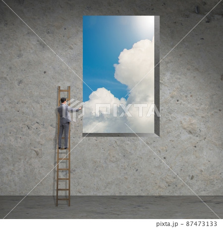 Businessman climbing ladder in business concept 87473133