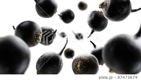 Black turnips levitate on a white background 87473674
