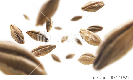 Barley malt grains levitate on a white background 87473925