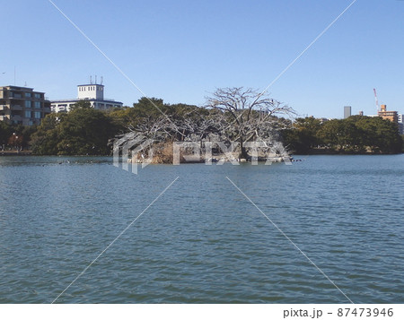 大濠公園(観光スポット 福岡県福岡市中央区大濠公園) 大濠公園(観光スポット 福岡県福岡市中央区大濠公園) 87473946