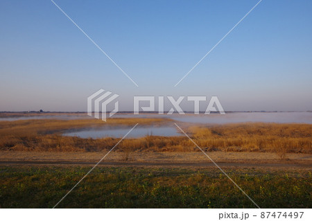 朝霧の渡良瀬遊水地 朝霧の渡良瀬遊水地 87474497