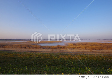 朝霧の渡良瀬遊水地 朝霧の渡良瀬遊水地 87474500
