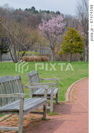 ベンチがある春の公園 ベンチがある春の公園 87474598