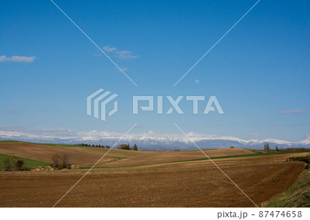 春の晴れた日の畑作地帯と冠雪の山並み 87474658