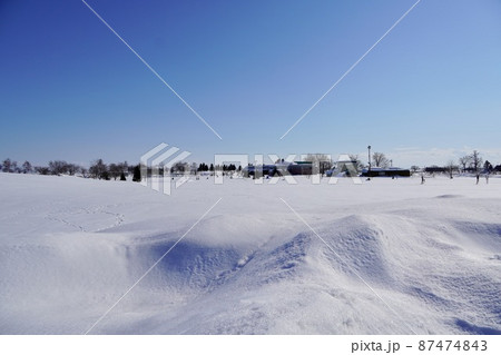 冬のしのつ公園 87474843