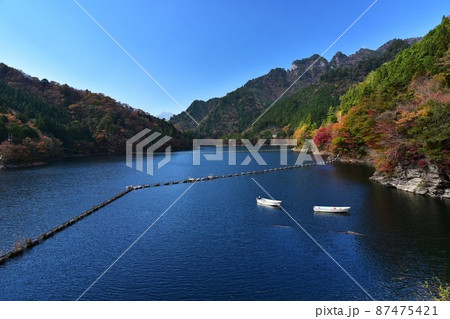 吉野川上流 長沢ダム湖の紅葉 吉野川上流 長沢ダム湖の紅葉 87475421