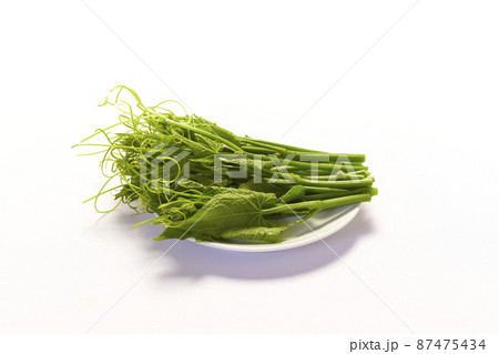 chayote leaves and stem on white background chayote leaves and stem on white background 87475434
