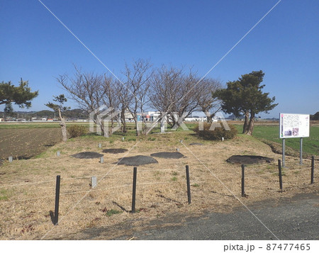 志登支石墓群（観光スポット　福岡県糸島市志登字坂本） 87477465