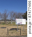 志登支石墓群（観光スポット　福岡県糸島市志登字坂本） 87477466