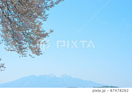 富士山や八ヶ岳を背景に咲き誇るわに塚の桜（わにづかのさくら） 87478262