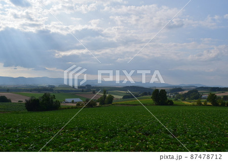 三愛の丘 87478712