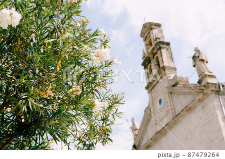 Church of St. Nicholas in Prcanj against the background of a blossoming tree Church of St. Nicholas in Prcanj against the background of a blossoming tree 87479264