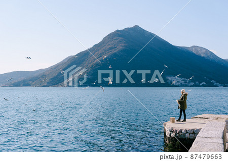 Girl in a jacket stands on the pier and feeds the seagulls against the backdrop of the mountains Girl in a jacket stands on the pier and feeds the seagulls against the backdrop of the mountains 87479663