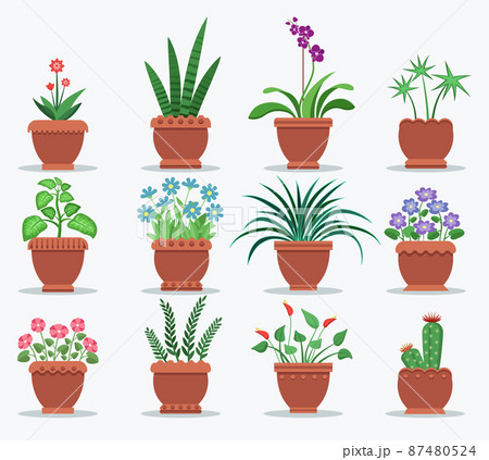 Indoor Plants and Flowers to Refresh Interior Indoor Plants and Flowers to Refresh Interior 87480524