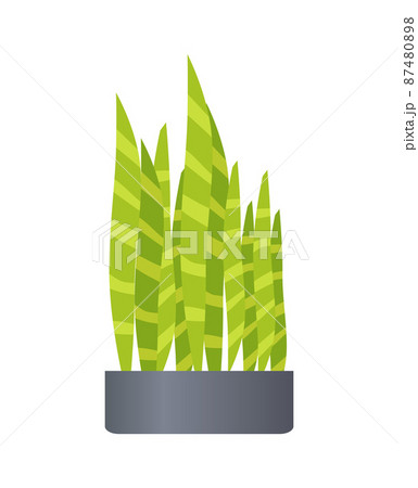 Pot and Plant of Green Color Vector Illustration 87480898