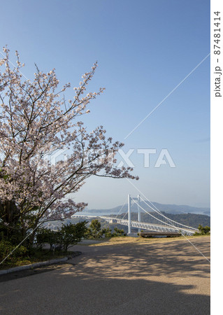 鷲羽山の春 鷲羽山の春 87481414
