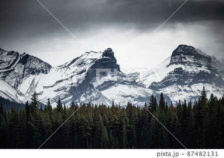 Snowy rocky mountains with pine forest in gloomy Snowy rocky mountains with pine forest in gloomy 87482131