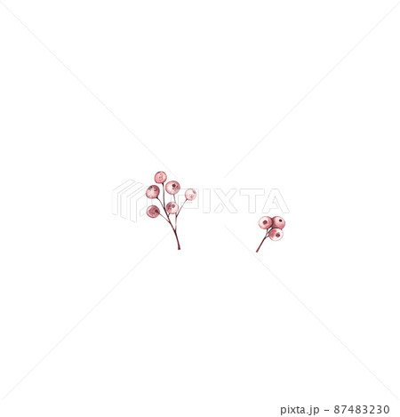 Watercolor orange berries on a white background Watercolor orange berries on a white background 87483230