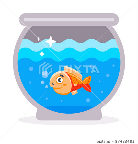 goldfish in a round aquarium. domestic water pet. 87483483