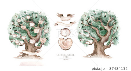 Watercolor Genealogical Family tree. Watercolor children's tree botanical season isolated illustration. olive, oak and cypress. Green forest ecology branch and leaves. Watercolor Genealogical Family tree. Watercolor children's tree botanical season isolated illustration. olive, oak and cypress. Green forest ecology branch and leaves. 87484152