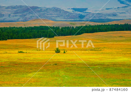 Bright natural minimalistic landscape with a spring multicolored field with mountains in the background. Natural background of the mountain steppe. Bright natural minimalistic landscape with a spring multicolored field with mountains in the background. Natural background of the mountain steppe. 87484160