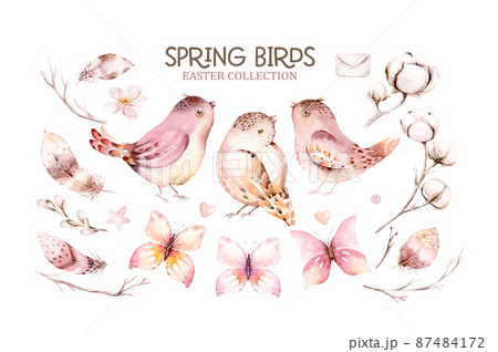 Collection cute birds in vintage watercolor style. spring illustration with colorful flowers on branches tree. Collection cute birds in vintage watercolor style. spring illustration with colorful flowers on branches tree. 87484172