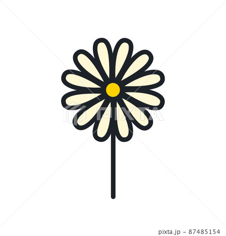 Chamomile icon. Vector isolated field flower icon - Stock Illustration  [87485154] - PIXTA