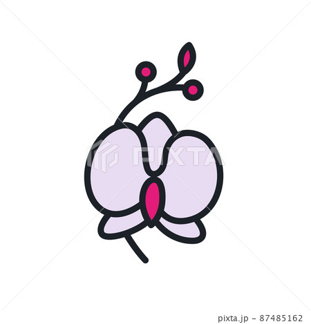 Orchid icon. Home flowers isolated vector icon. Home gardening 87485162