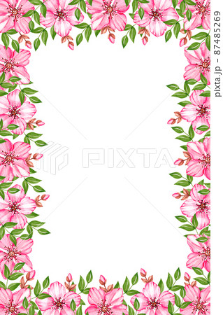 Watercolor cherry blossom frame on white background 87485269