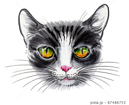 Cat with green eyes. Ink and watercolour drawing Cat with green eyes. Ink and watercolour drawing 87486753